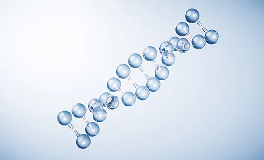 Amino Acids vs Small Peptides: Nutrition or Signal?